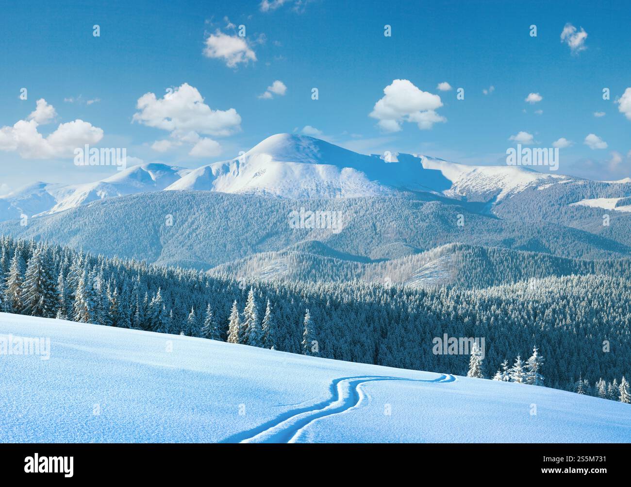 Im Winter am Vormittag ruhige Berglandschaft mit Skipiste und Nadelwald am Hang (Blick auf die Gouverneur - der höchste Berg der ukrainischen Karpaten). Stockfoto