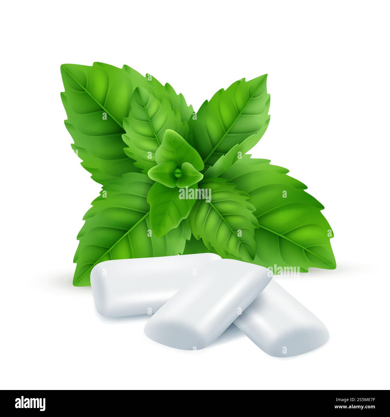 Minzgummi. Frische Menthol-Blätter mit weißem Kaugummi für das Atmen frischen Geruchs Vektor realistische Bilder. Illustration des Pfefferminzeffekts, Kaugummi zum Kauen. Minzgummi. Frische Menthol-Blätter mit weißem Kaugummi für das Atmen frischen Geruchs Vektor realistische Bilder Stock Vektor