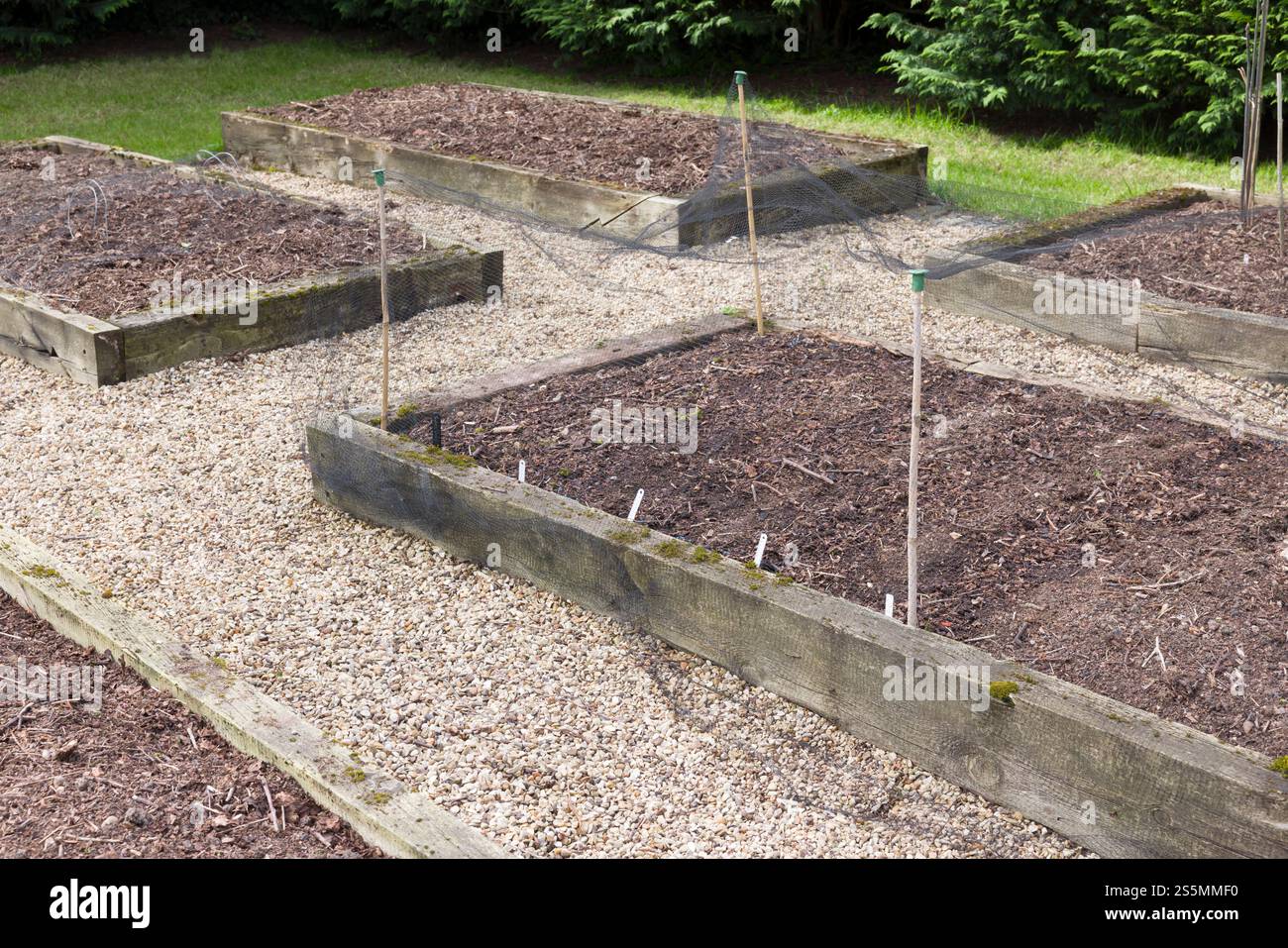 Leere Holzschlafbetten in einem Gemüsegarten im Frühjahr. Gemüsebeete in einem britischen Garten vorbereiten Stockfoto