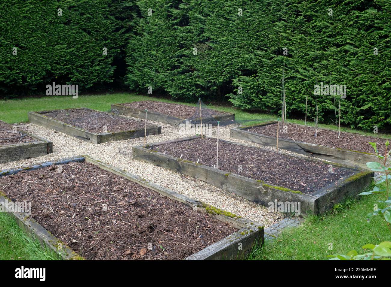 Leere Hochbeete, die im Frühjahr in einem Gemüsegarten gepflanzt werden können Stockfoto