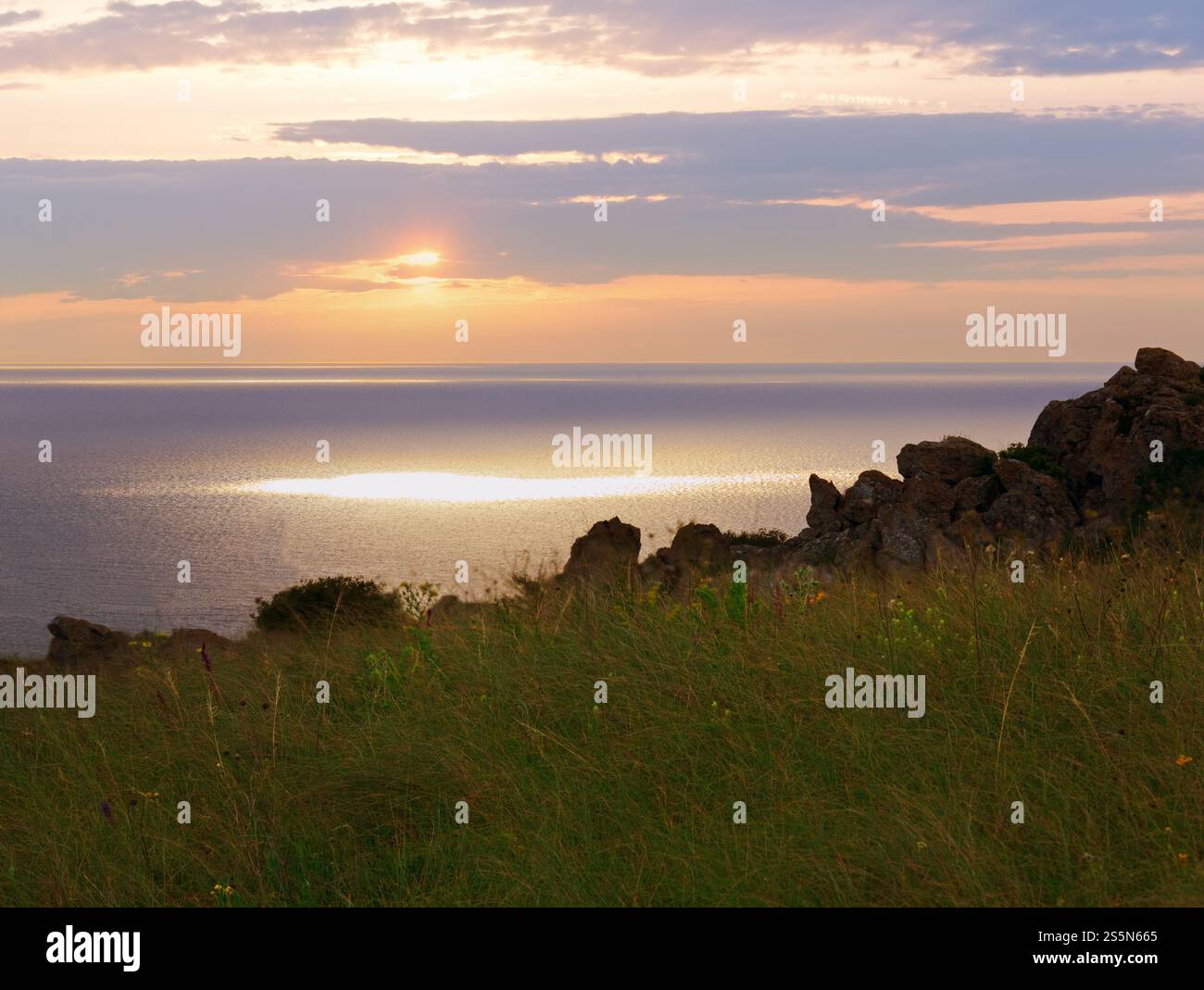 Gräser in Wiesen in der Nähe von morgen Sommer Meeresküste Stockfoto