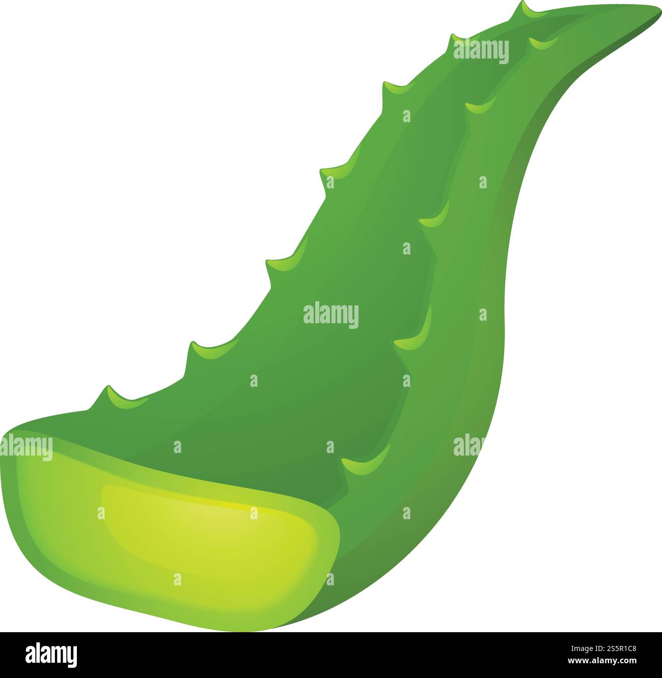 Aloe-Blatt-Symbol. Cartoon des Aloe-Blatt-Vektor-Symbols für Web-Design isoliert auf weißem Hintergrund. Aloe-Blatt-Symbol, Cartoon-Stil Stock Vektor