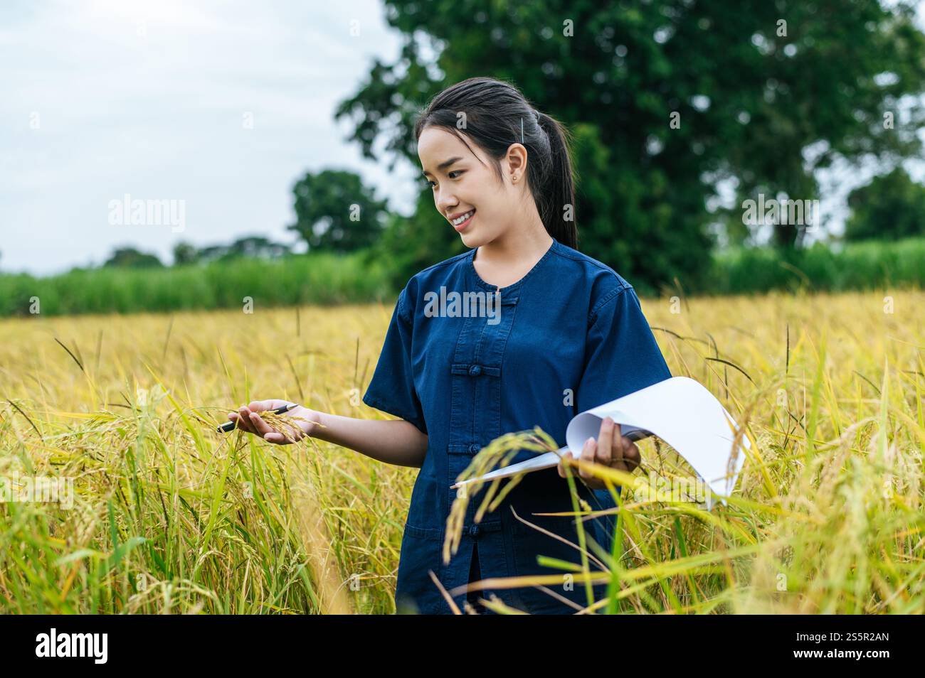 Porträt schöne asiatische junge Farmerin benutzt die Klemmbrettkontrolle während der Arbeit im Bio-Reisfeld und lächelt glücklich Stockfoto