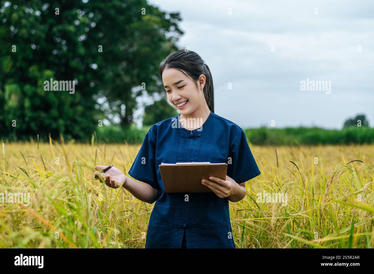Porträt schöne asiatische junge Farmerin benutzt die Klemmbrettkontrolle während der Arbeit im Bio-Reisfeld und lächelt glücklich Stockfoto