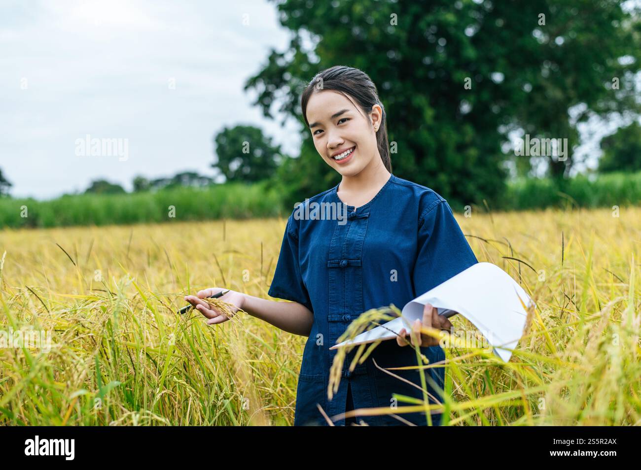 Porträt schöne asiatische junge Farmerin benutzt die Klemmbrettkontrolle während der Arbeit im Bio-Reisfeld und lächelt glücklich Stockfoto