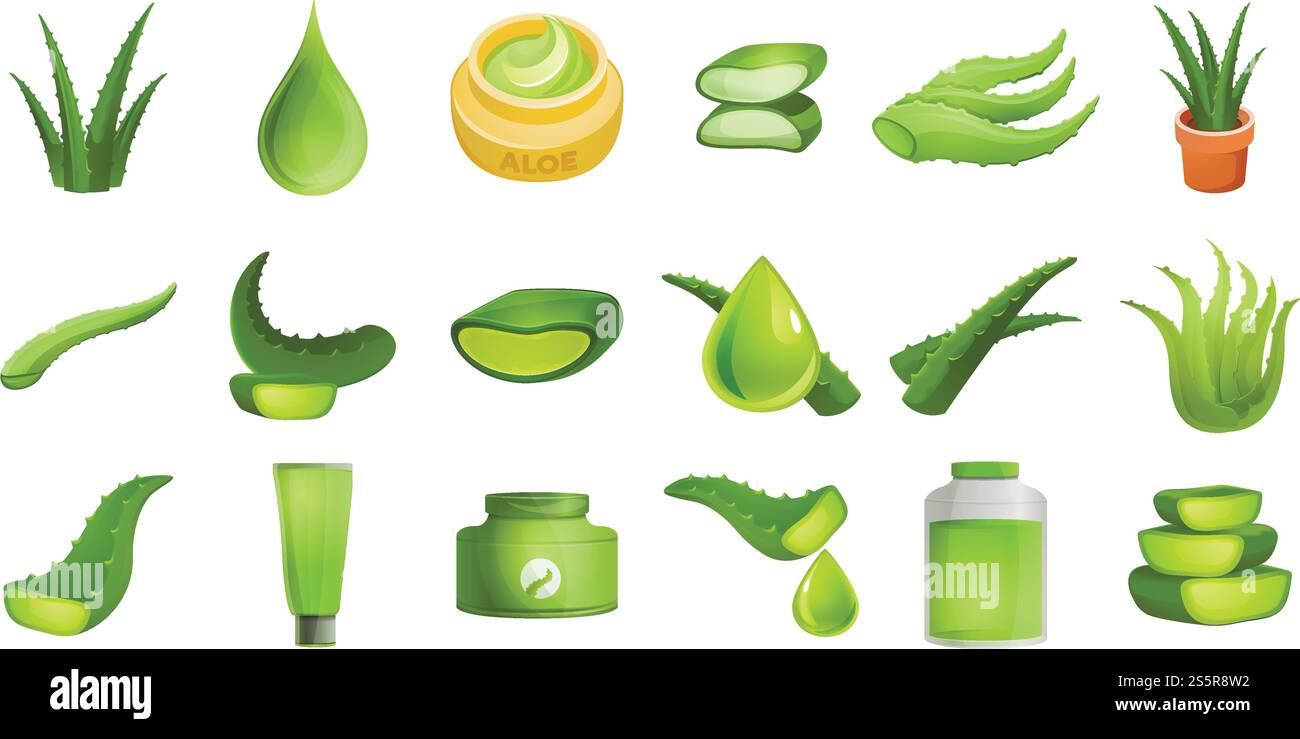 Aloe Vera Set. Zeichentrickillustration des Aloe Vera Vektors auf weißem Hintergrund isoliert. Aloe Vera Set Cartoon Vektor Stock Vektor