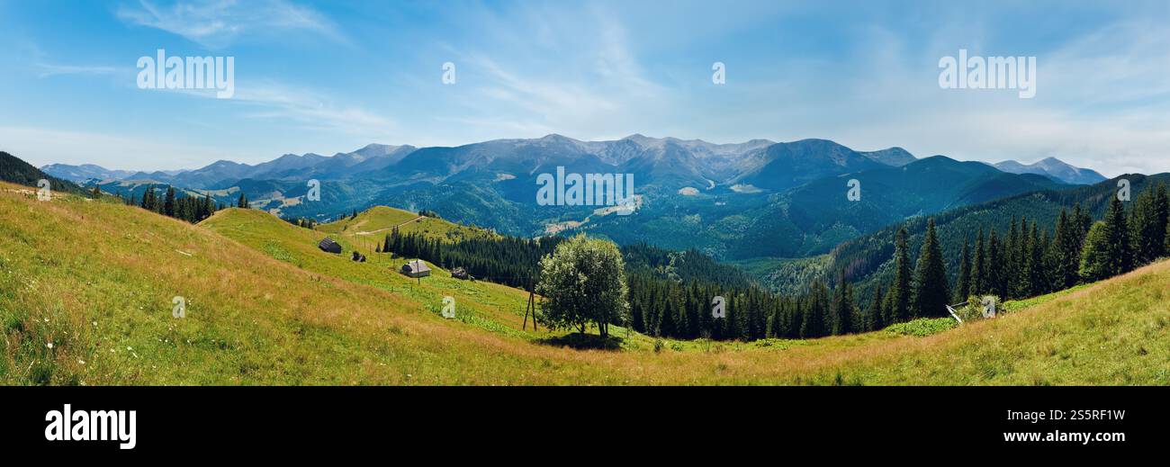 Sommer-Bergpanorama (Karpaten, Ukraine) mit blühenden Wiesen vor Stockfoto