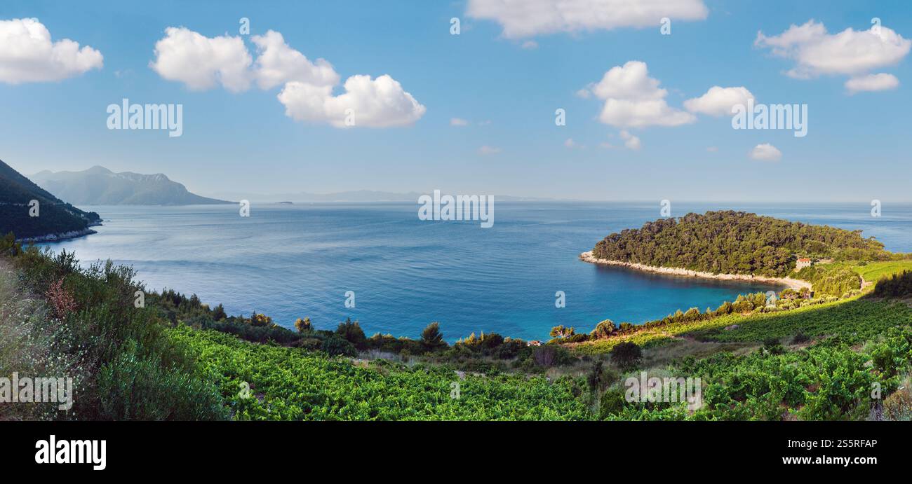 Sommermorgen Adria Küste Ansicht (Peljesac, Kroatien) Stockfoto