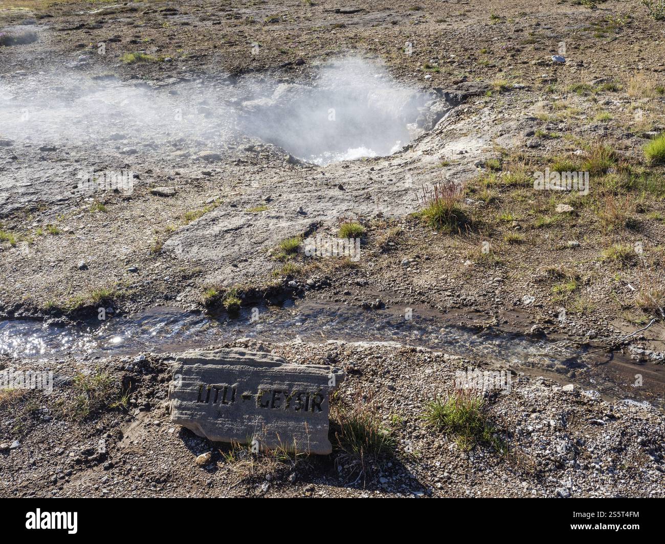 Litli Geysir, Haukadalur Geothermie, Geysir, Island, Europa Stockfoto