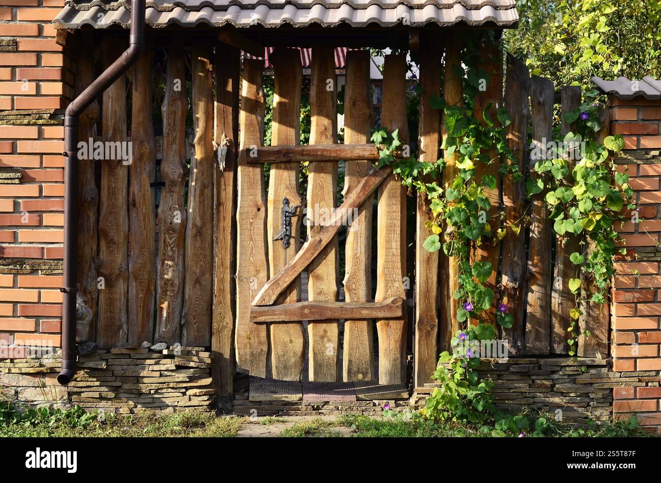 Alter Holzzaun im Herbst mit einem Wicket im Vintage-Stil. Ein alter Holzzaun mit einem Wicket Stockfoto