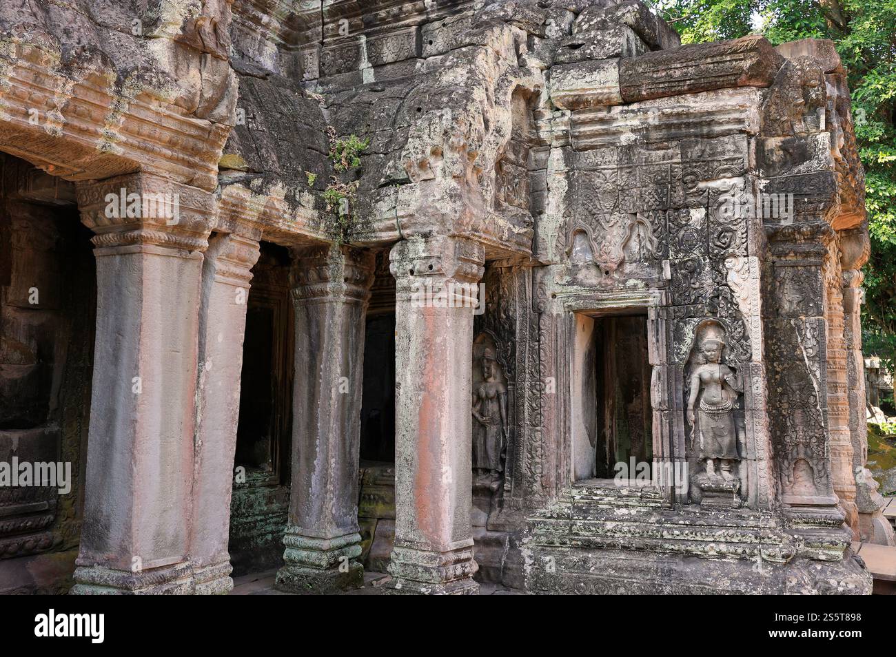 TA Prohm Tempel, Teil des Angkor Wat Komplexes, Seam Reap, Kambodscha Stockfoto