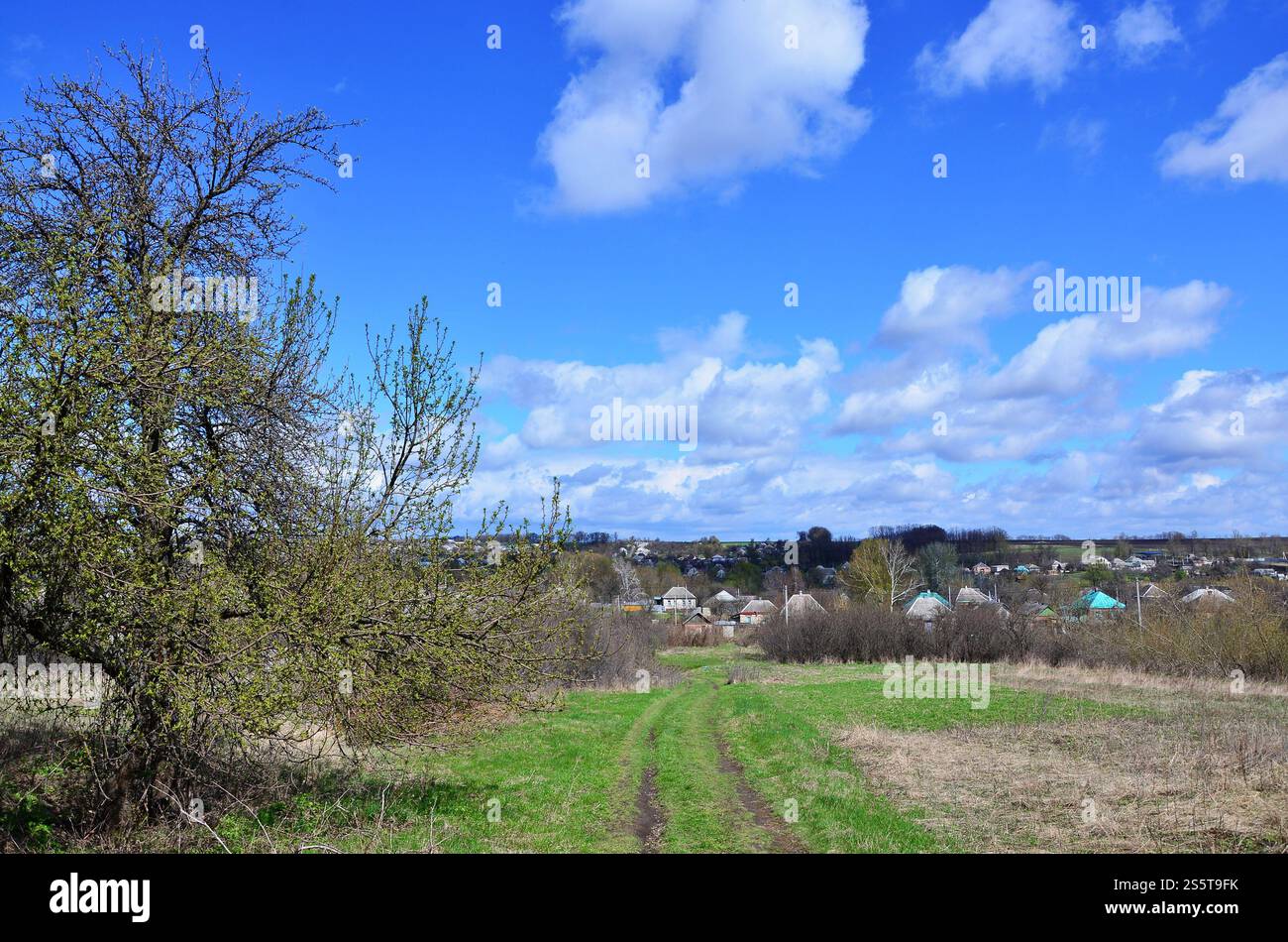 Eine ländliche Landschaft mit vielen Privathäusern und grüne Bäume. Suburban Panorama an einem bewölkten Nachmittag. Ein Ort, weit von der Stadt entfernt Stockfoto