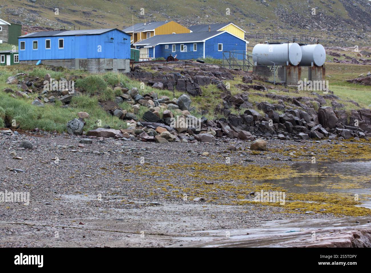 Im Hafen von Igaliku, Südgrönland Stockfoto
