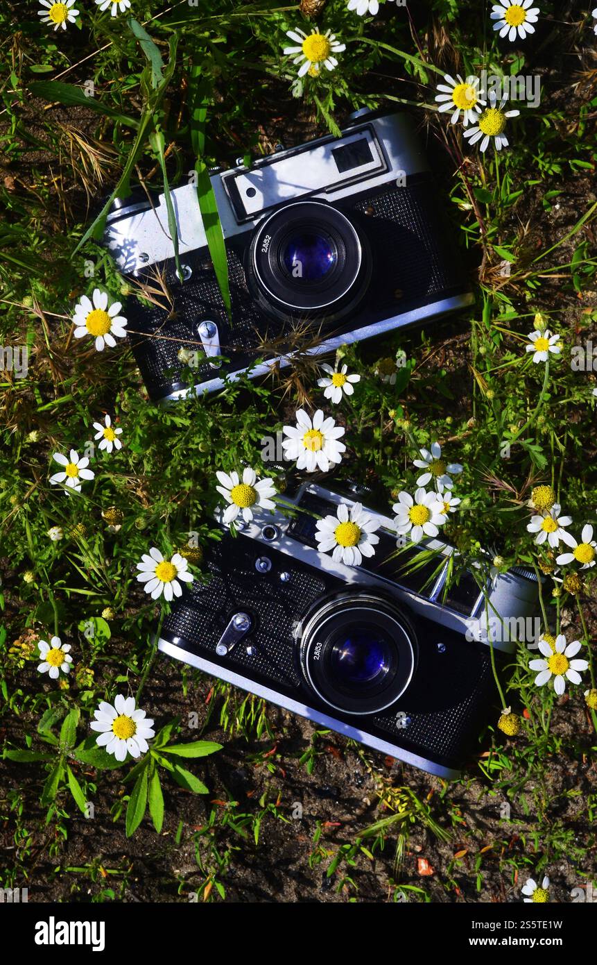 Eine alte Fotokamera aus der Mitte des 20. Jahrhunderts auf grünem Feld aus Gänseblümchen und grünem Gras. Eine alte Fotokamera aus der Mitte des 20. Jahrhunderts auf grünem Feld Stockfoto