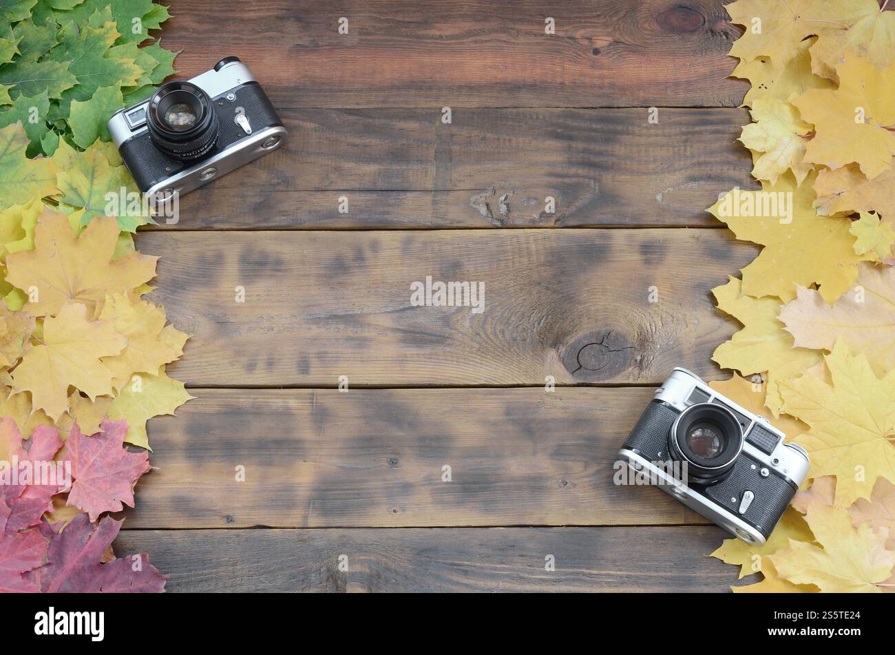 Zwei alte Kameras unter einer Reihe von vergilbung gefallenen Blätter im Herbst auf einem Hintergrund Oberfläche der natürlichen hölzernen Brettern von dunkelbrauner Farbe Stockfoto