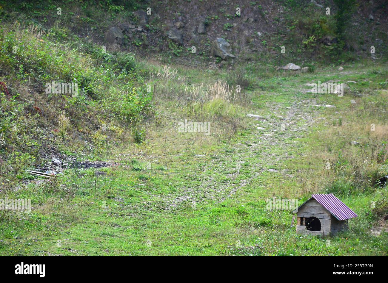 Ein kleines Hundehaus im Freien auf einem Rasenfeld Stockfoto
