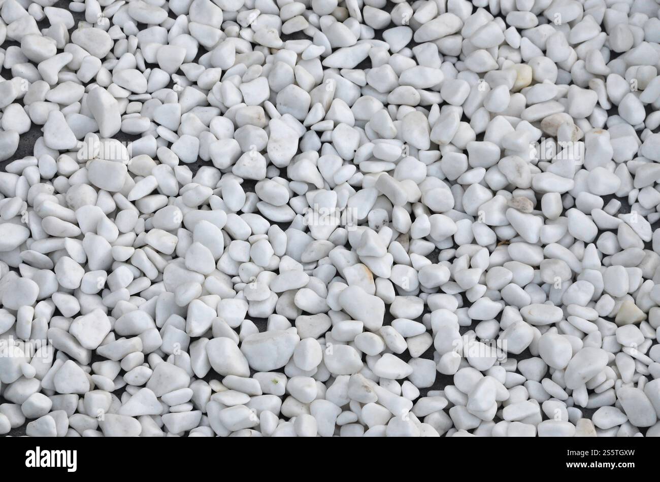 Viele runde und ovale Steine in weißer Farbe liegen auf dem Boden im Garten Stockfoto