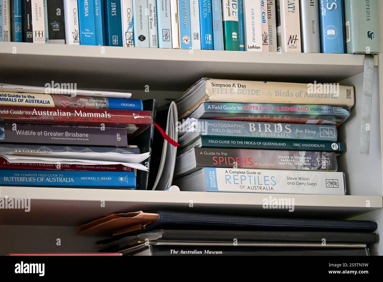 Bücher im Bücherregal. Australische Tierwelt, Vögel, Pflanzen, Reptilien, Spinnen, Frösche. Referenzbücher und Guides für Tierwelt und Pflanzen in Queensland. Stockfoto