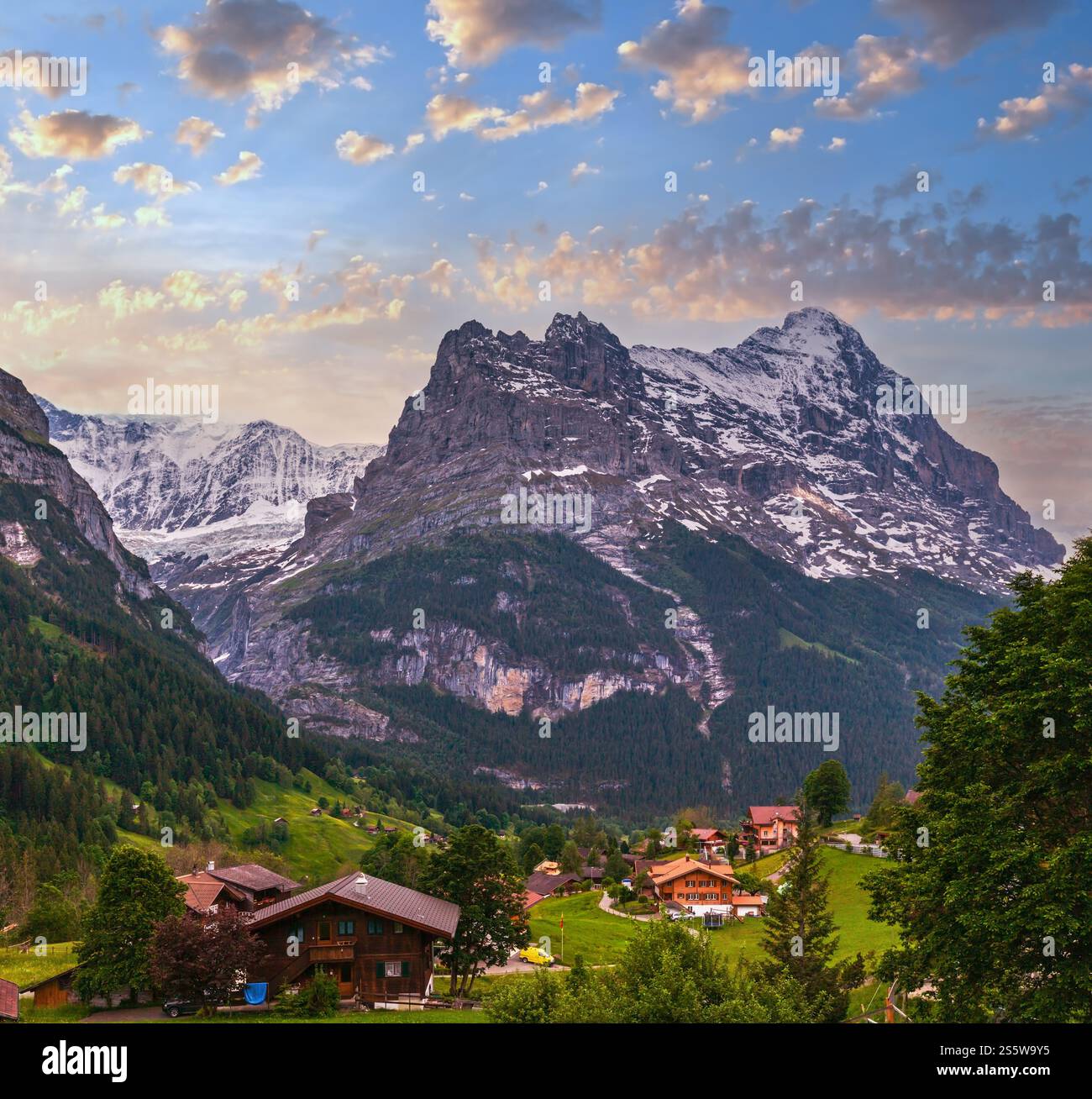 Sommerliche Alpenlandschaft mit Tannenwald am Hang und schneebedeckten Felsen in Far, Schweiz. Blick auf die Landschaft. Stockfoto