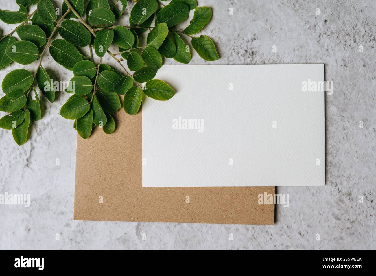 Eine leere Karte mit Umschlag und Blatt wird auf weißem Hintergrund platziert Stockfoto