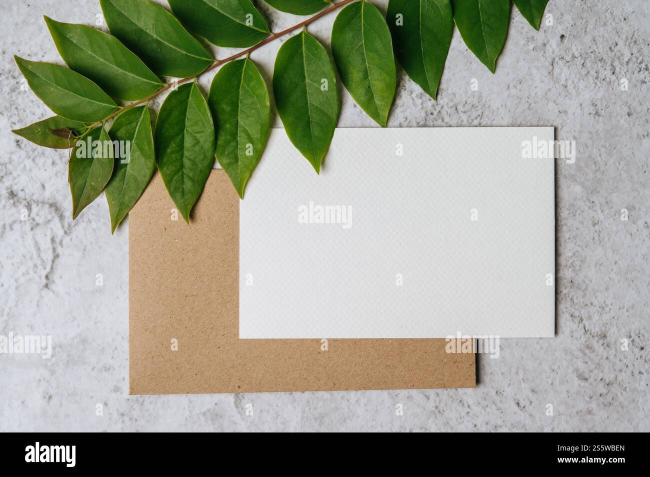 Eine leere Karte mit Umschlag und Blatt wird auf weißem Hintergrund platziert Stockfoto