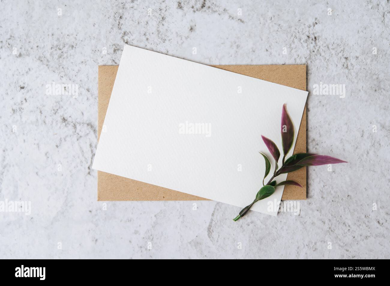 Eine leere Karte mit Umschlag und Blume ist auf weißem Hintergrund platziert Stockfoto