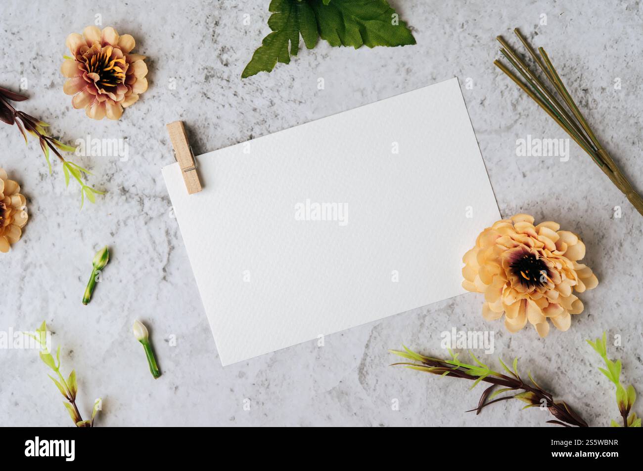 Eine leere Karte und Blume werden auf weißem Hintergrund platziert Stockfoto