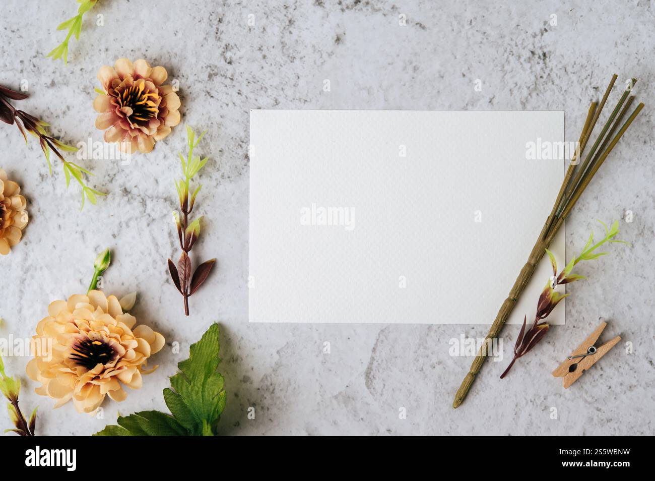 Eine leere Karte und Blume werden auf weißem Hintergrund platziert Stockfoto