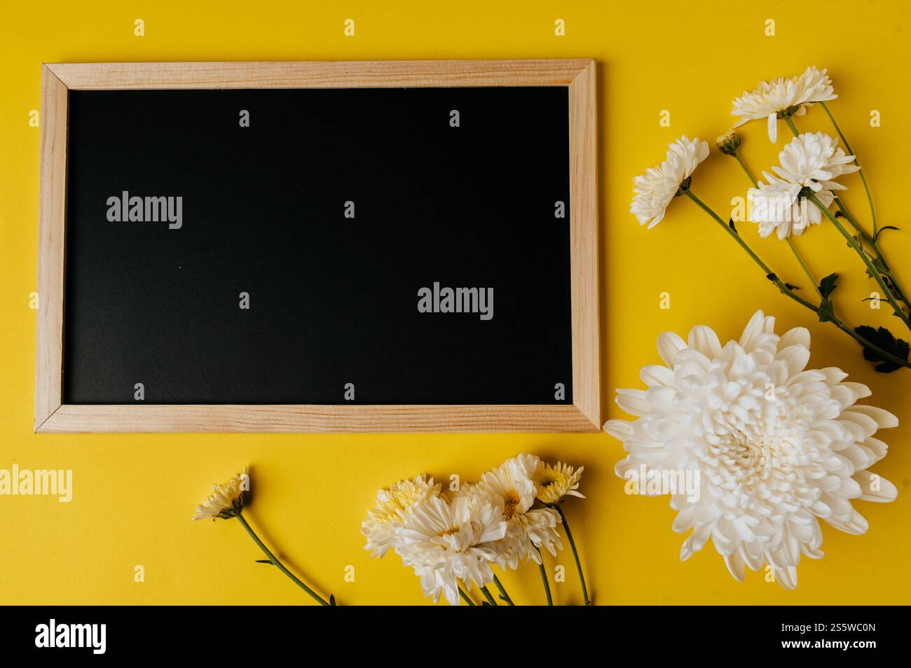 Schwarzes Brett und Blume sind auf gelbem Hintergrund platziert Stockfoto