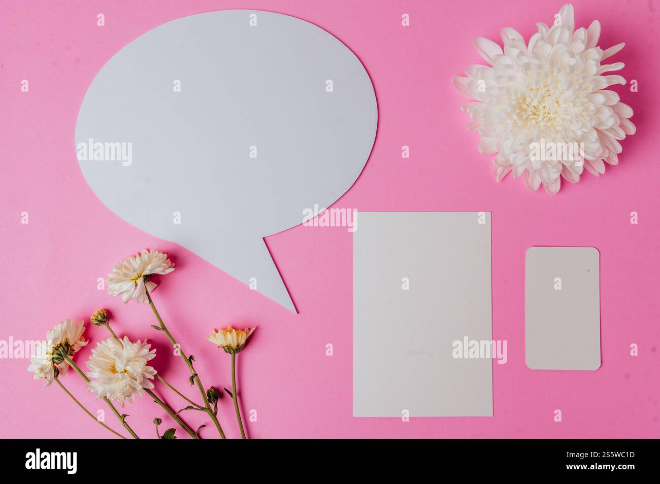 Leere Sprechblase oval, Blume und 2 leere Karte auf rosa Hintergrund Stockfoto