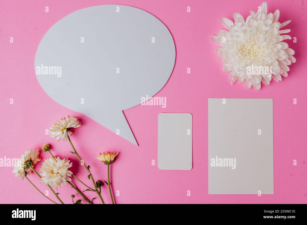 Leere Sprechblase oval, Blume und 2 leere Karte auf rosa Hintergrund Stockfoto