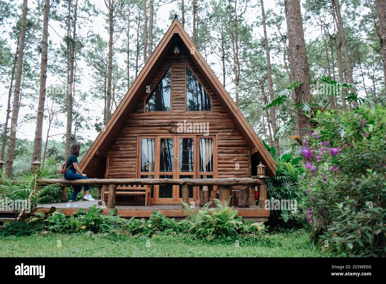 Eine Reisende Frau fotografiert im Natur-Pine Park. Tourist mit Kamera Reisefoto von Fotografen, der Bilder macht Reise Sightseeing Stockfoto