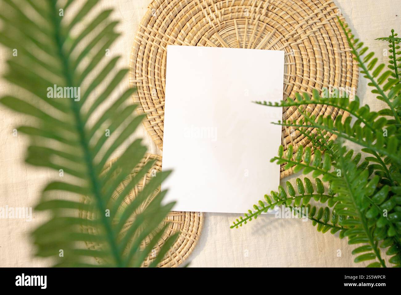 Leere Karten Mockup Designs in authentischer Umgebung weiße Grußkarten Kunstwerke oder Schreibwaren Designs. Leere Papierkarte Stockfoto