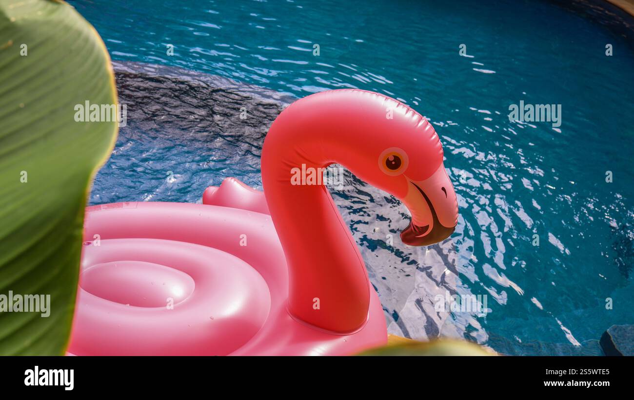 Sommerurlaub lustiger rosafarbener Flamingo schweben in einem Swimmingpool trendiges Flamingo auf einem blauen Sommerkonzept Stockfoto