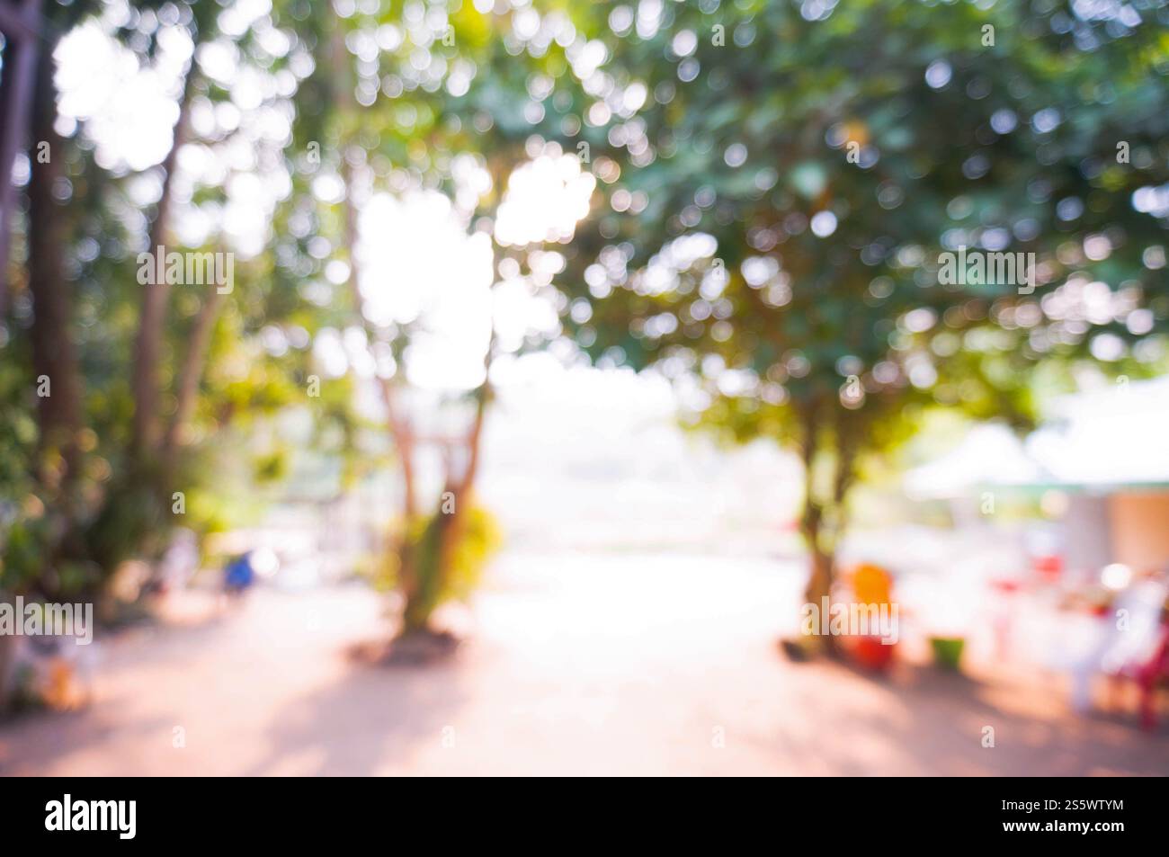 Verschwommene schöne Natur Hintergrund verschwommen von Bokeh Wald Blatt. Garten und Park mit Sonnenlicht, verwenden Sie für Hintergrund Stockfoto