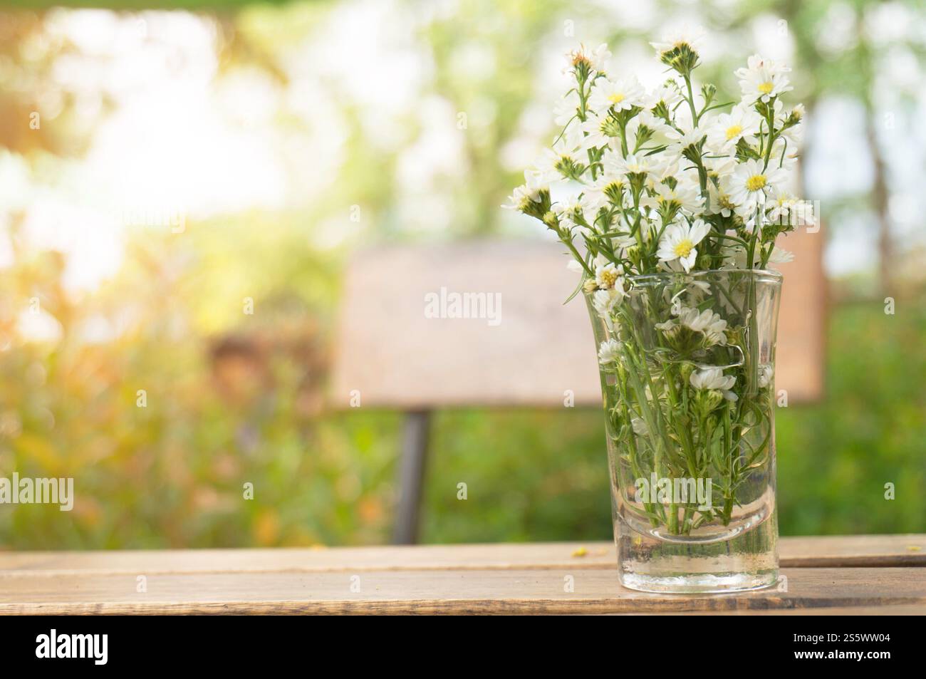 Verschwommene schöne Natur Hintergrund verschwommen von Bokeh Wald Blatt. Garten und Park mit Sonnenlicht, verwenden Sie für Hintergrund Stockfoto