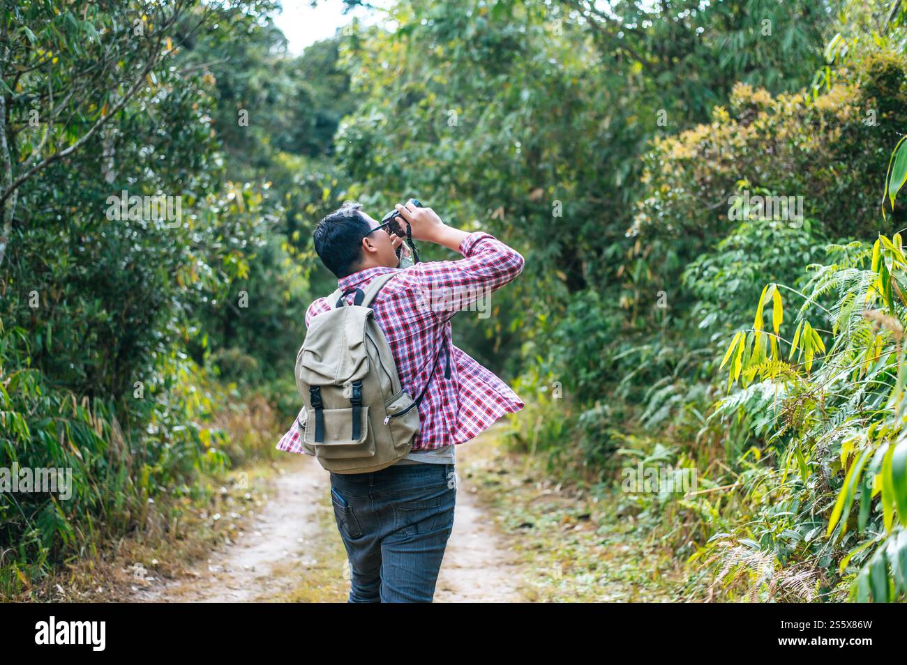 Junger asiatischer Wanderer und Rucksack machen Fotos im Wald mit der Kamera. Kopierbereich Stockfoto