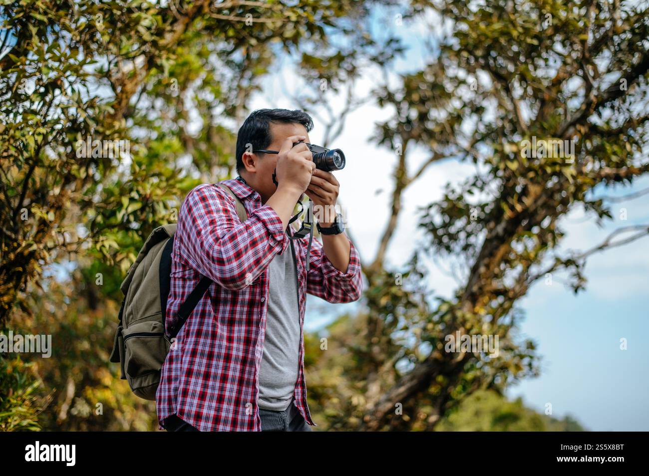 Junger asiatischer Wanderer und Rucksack machen Fotos im Wald mit der Kamera. Kopierbereich Stockfoto