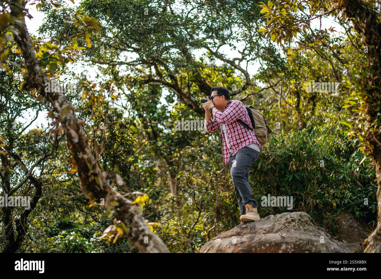 Junger asiatischer Wanderer und Rucksack machen Fotos im Wald mit der Kamera. Kopierbereich Stockfoto