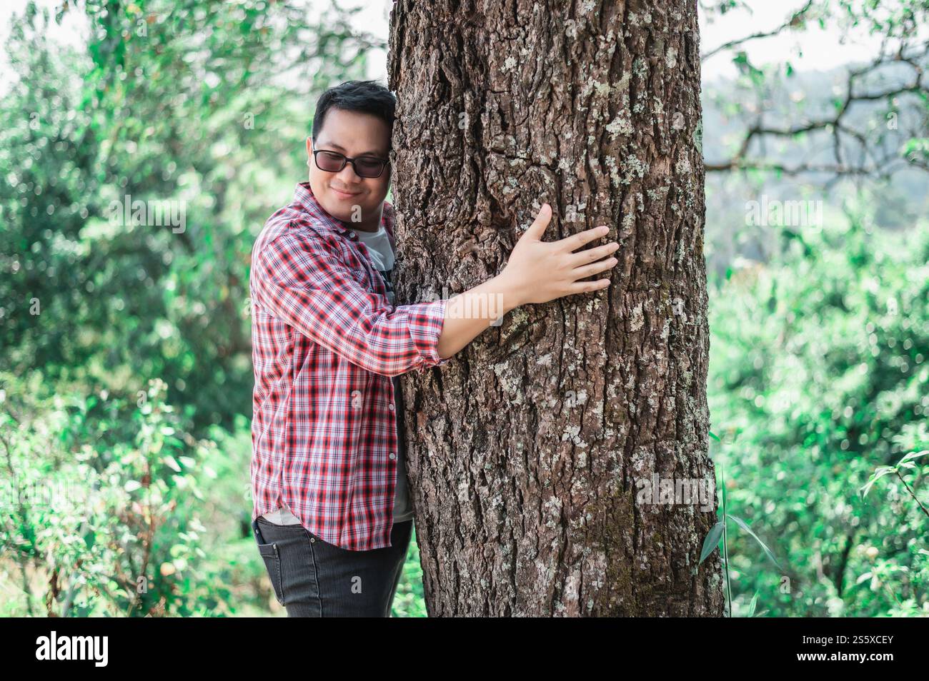 Porträt eines glücklichen asiatischen Mannes, der einen Baum im Wald umarmt. Die Natur schützen und lieben. Umwelt- und Umweltkonzept. Stockfoto