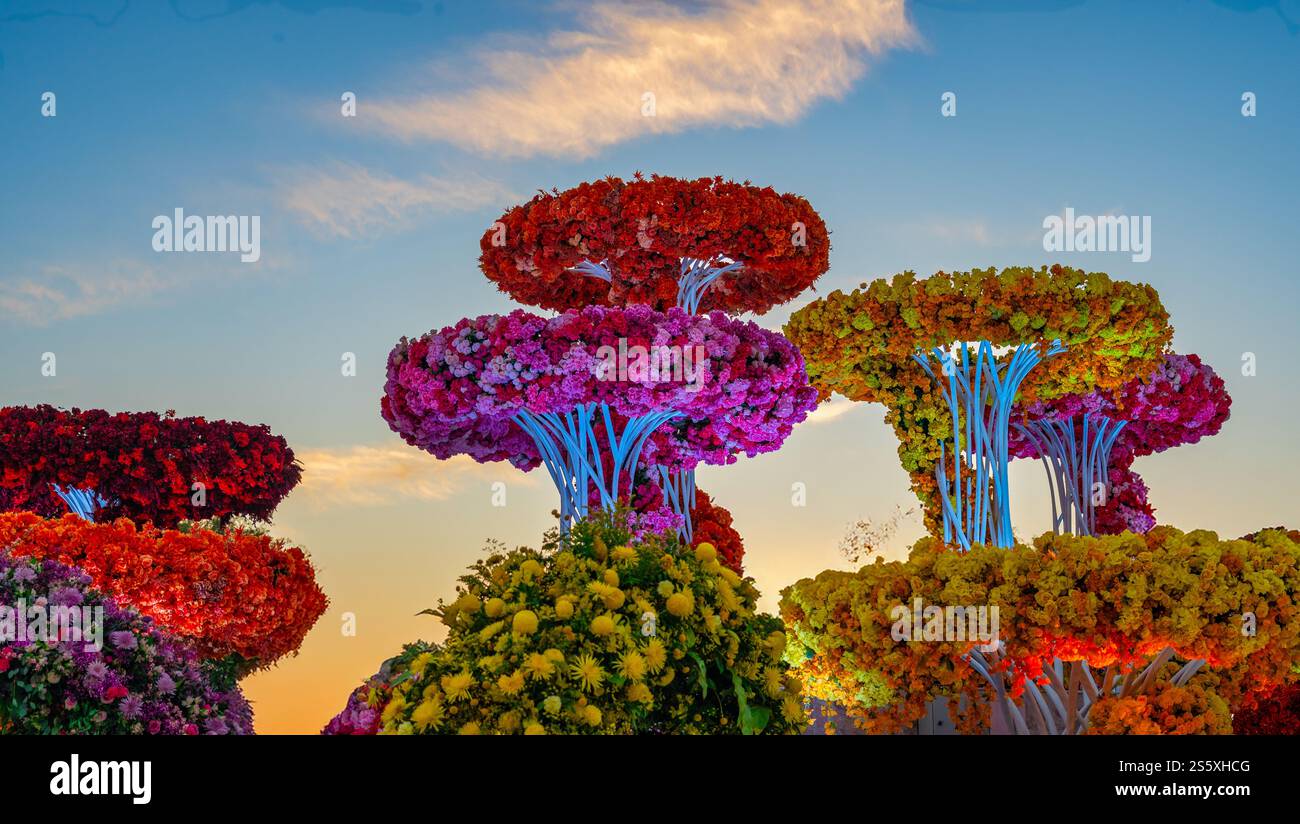 Atemberaubende Blumentürme mit leuchtenden Farben von roten, rosa, gelben und orangen Blüten, beleuchtet vor einem malerischen Abendhimmel mit sanftem C Stockfoto