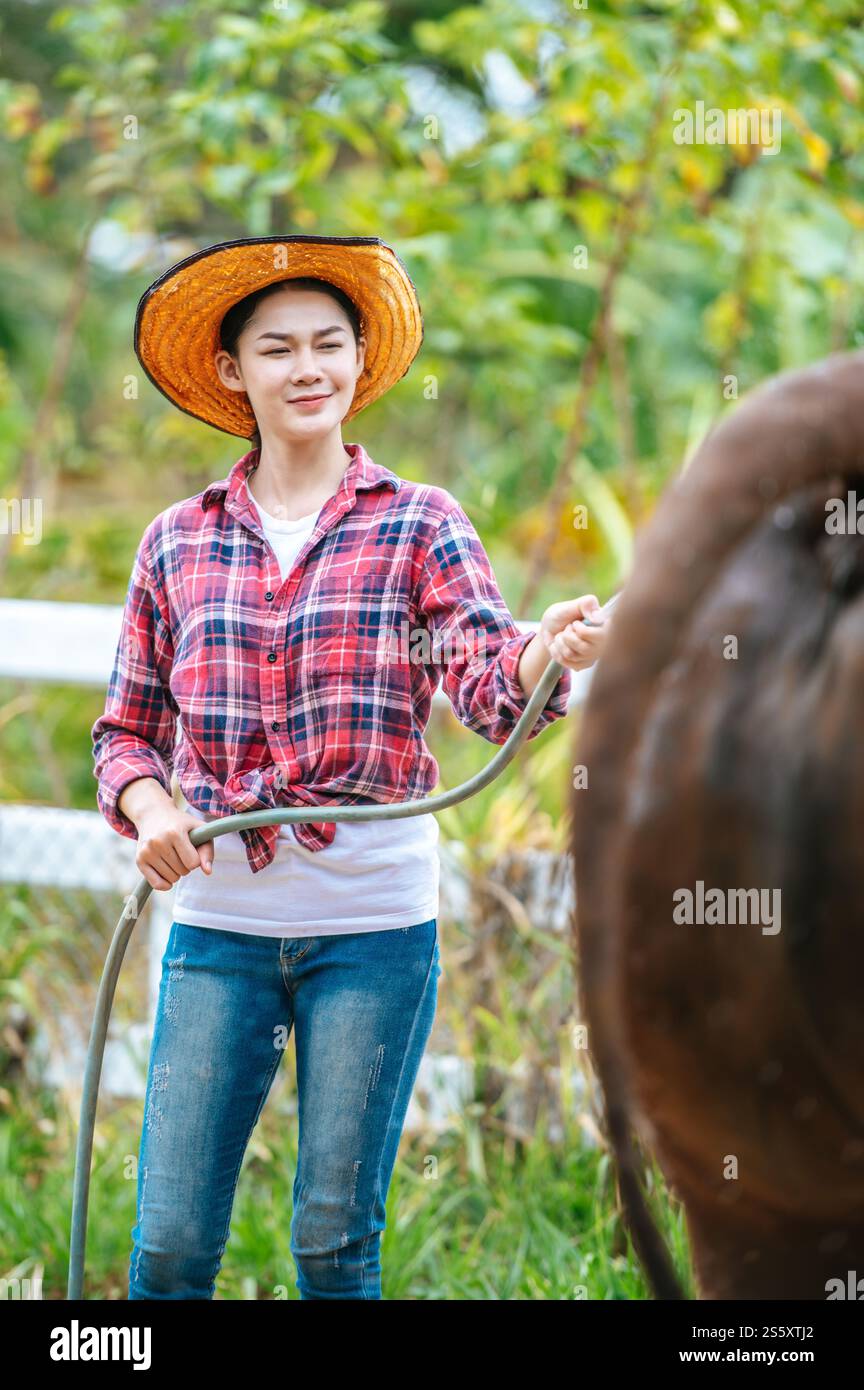 Porträt einer glücklichen jungen asiatischen Bäuerin, die einen Hut trägt, um die Kuh auf der Farm zu säubern. Landwirtschaft, Landwirtschaft, Mensch, Technologie und Tier Stockfoto