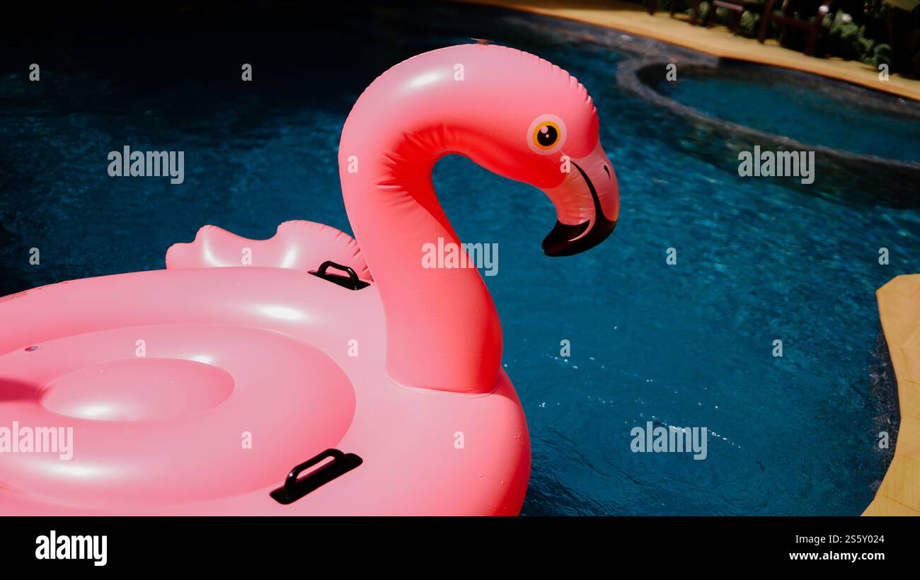 Sommerurlaub lustiger rosafarbener Flamingo schweben in einem Swimmingpool trendiges Flamingo auf einem blauen Sommerkonzept Stockfoto