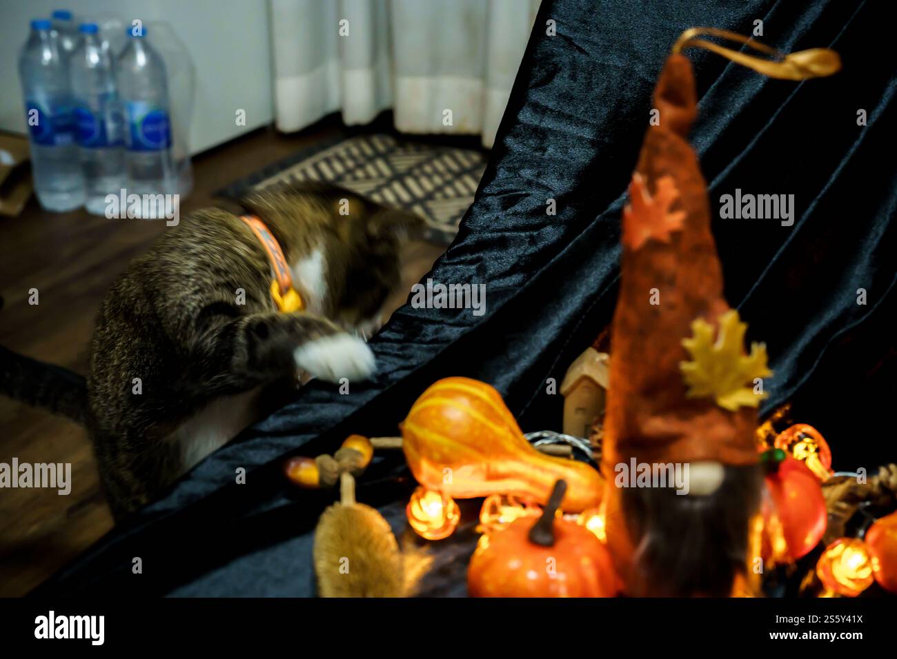 Halloween Dekorationen Hintergrund. Halloween gruseliger Kürbiskopf auf Holztisch Halloween-Feiertagskonzept. Stockfoto