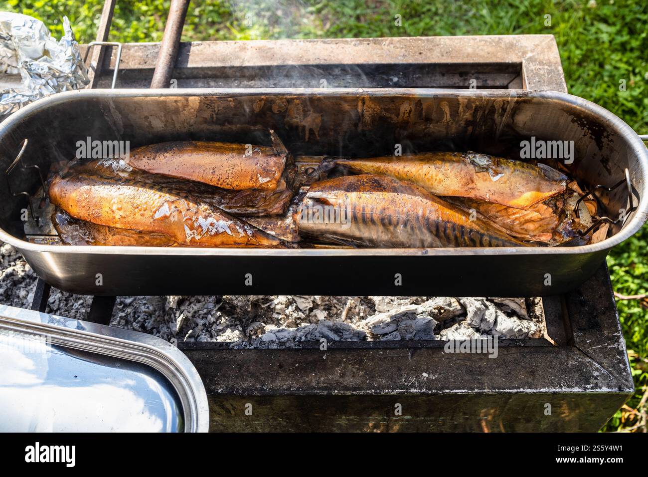Frisch geräucherter Fisch im offenen Stahltopf auf Holzkohlegrill im Freien an sonnigen Sommertagen Stockfoto