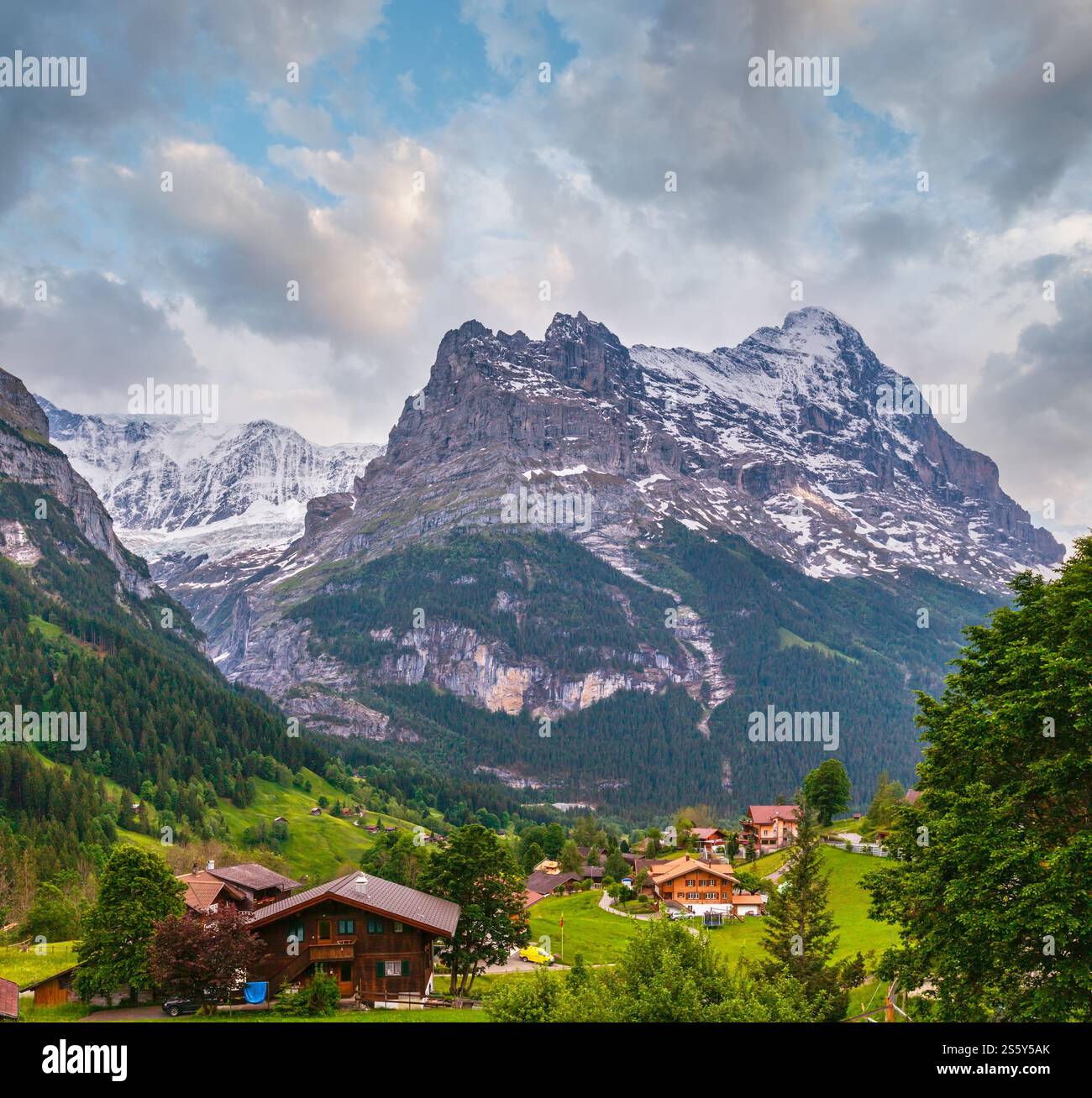 Sommer Alpen Berglandschaft mit Tanne Wald am Hang und schneebedeckten Rocky tops in weit, Schweiz. Land anzeigen. Stockfoto