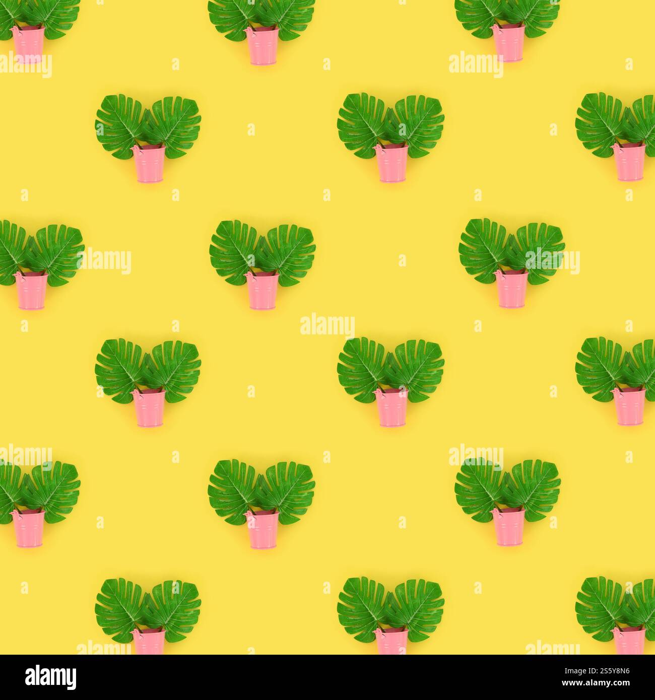 Tropische Palmenmonsterablätter liegen in einem pastellfarbenen Eimer auf einem farbigen Hintergrund. Flaches, trendiges, minimales Muster. Draufsicht. Tropische Palmenmonstera Stockfoto