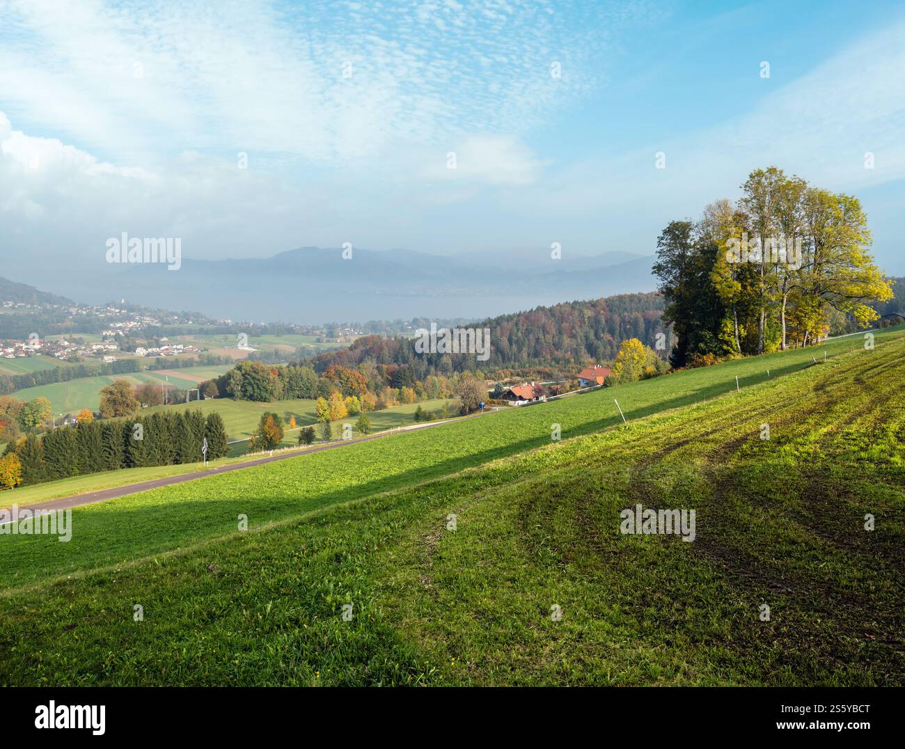Blick auf die herbstliche Landschaft mit grünen Winterpflanzen auf Feldern, Hainen und Wald, Kronberg, Strass im Attergau, Oberösterreich. Attersee und Stadt in Stockfoto