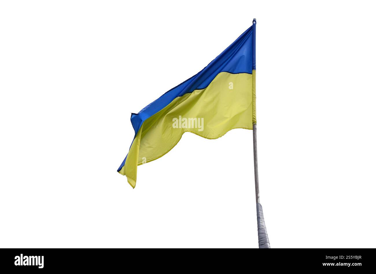 Ukrainische Flagge flattert im Wind vor weißem Hintergrund. Präsidentschaftswahlen in der Ukraine 2019. Blaue und gelbe ukrainische Nationalflagge Stockfoto