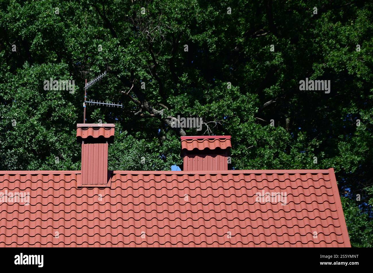 Hochwertiges, rotes Metallziegeldach eines Hauses vor grünem Baumhintergrund. Hochwertiges Dach aus rotem Metallfliesen eines Hauses Stockfoto